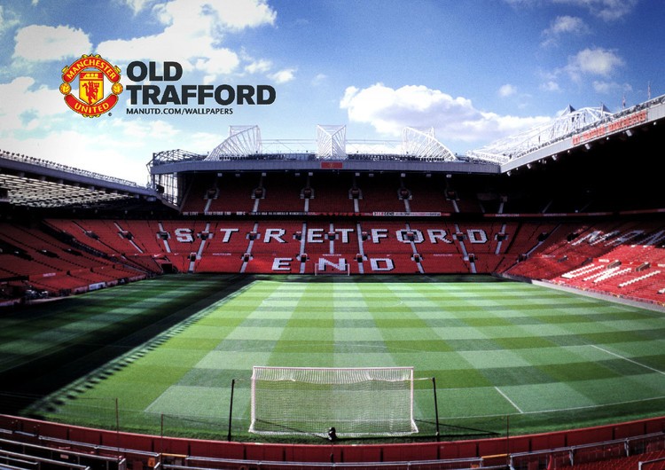 有活力的球 有活力的球